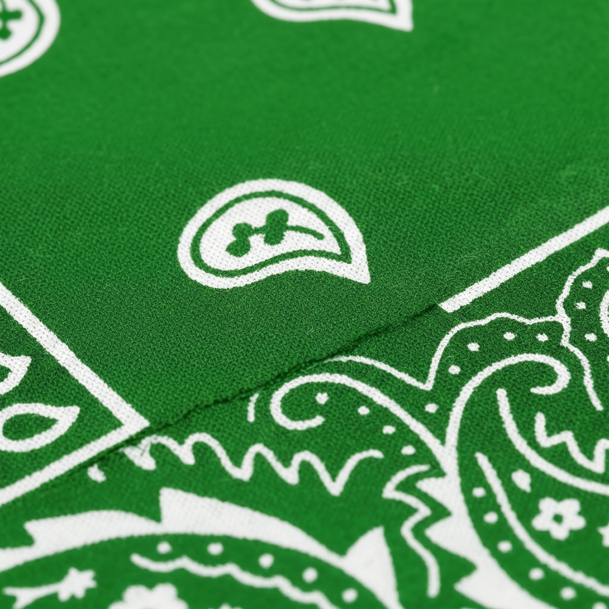 Green Paisley Polyester Bandana